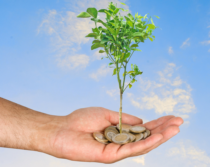 savings_tree_big.jpg