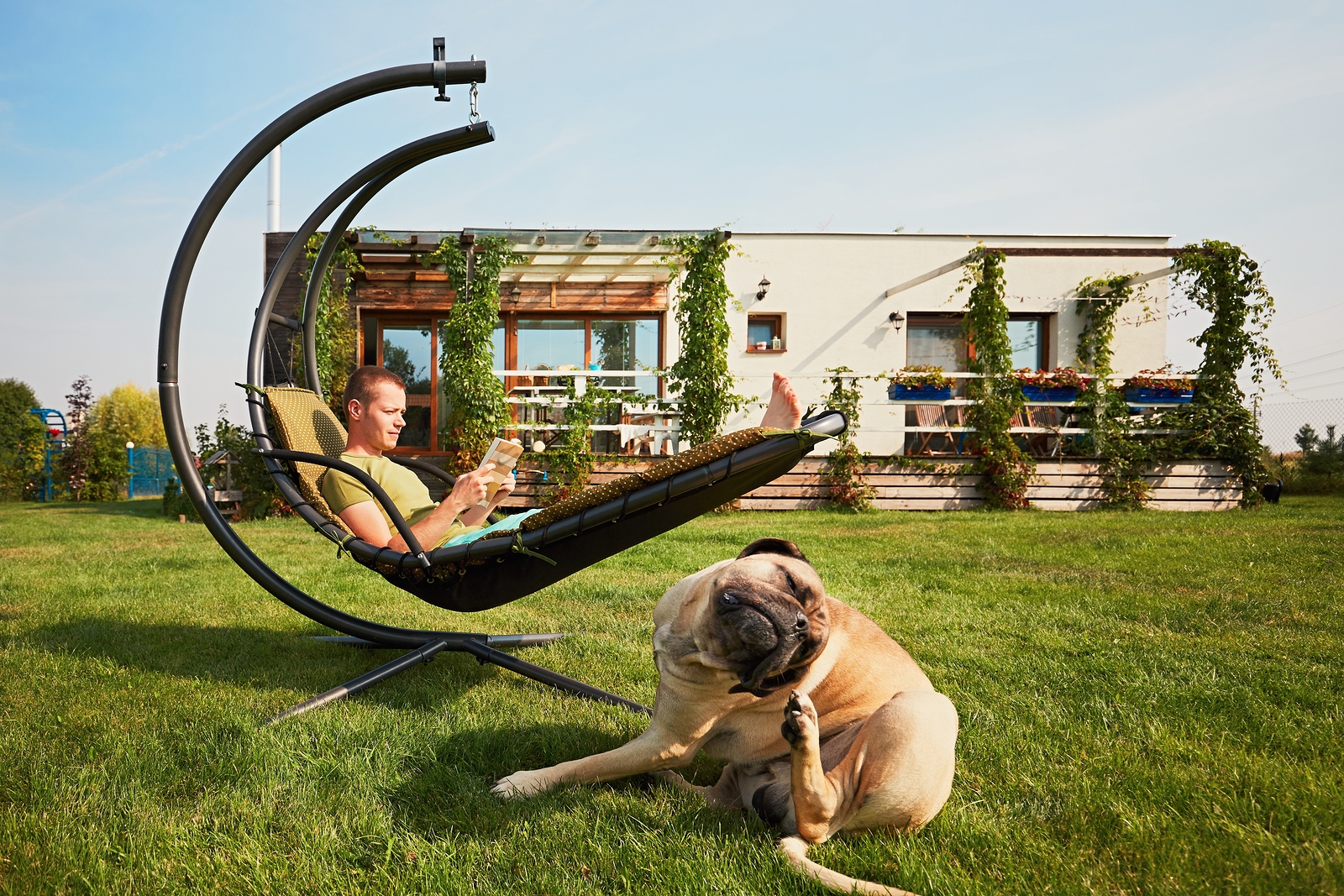 Young man reading book in the swing and large dog resting on the garden of the modern family house.