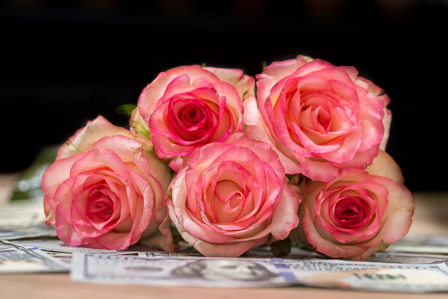 Beautiful rose and money on desk for background